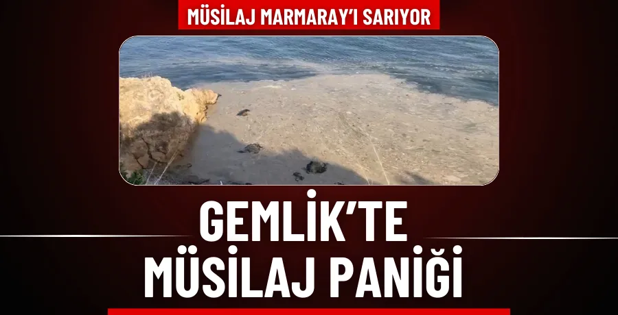 Gemlik’te müsilaj paniği