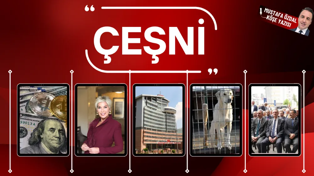 Çeşni 