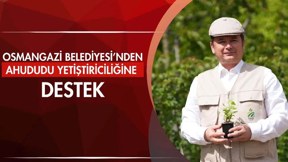 Osmangazi Belediyesi