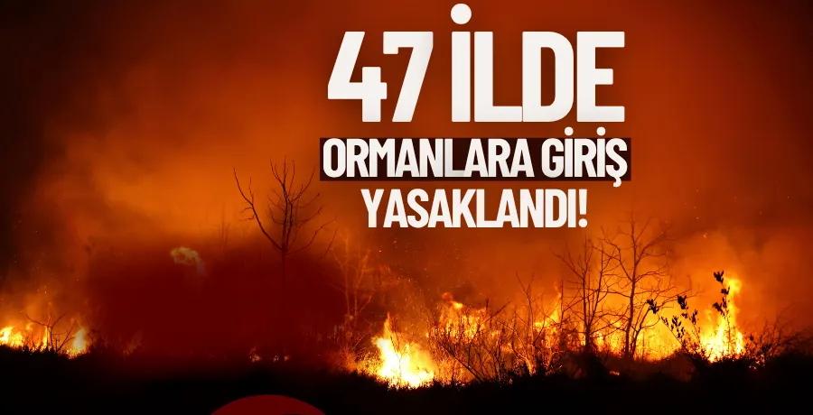 47 ilde ormanlara girişler yasaklandı