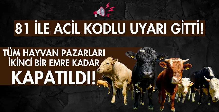 Tüm hayvan pazarları ikinci bir emre kadar kapatıldı!