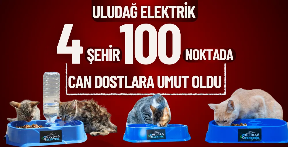 Uludağ Elektrik 4 şehir 100 noktada can dostlara umut oldu