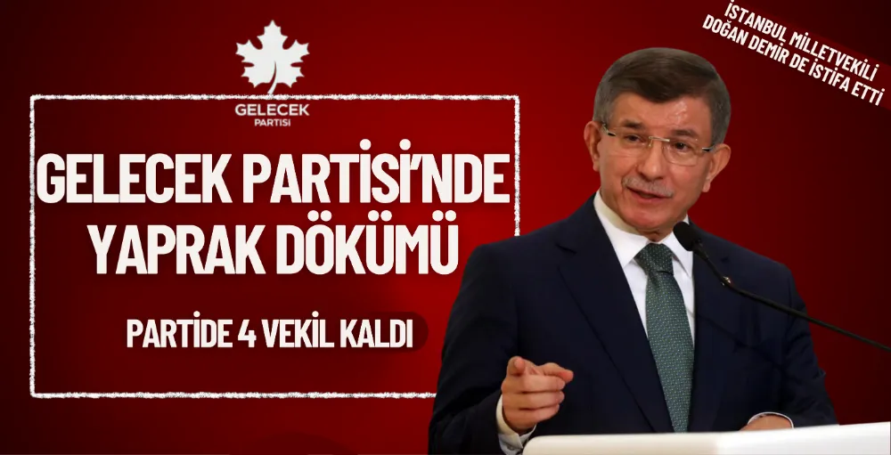 İstanbul Milletvekili Doğan Demir, Gelecek Partisi