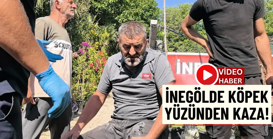 Köpeğe çarpan motosikletin sürücüsü yaralandı