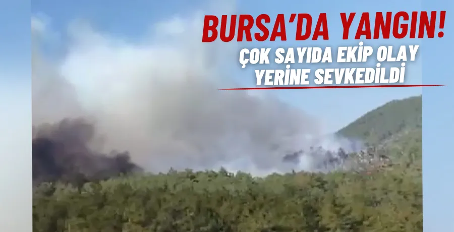 BURSA