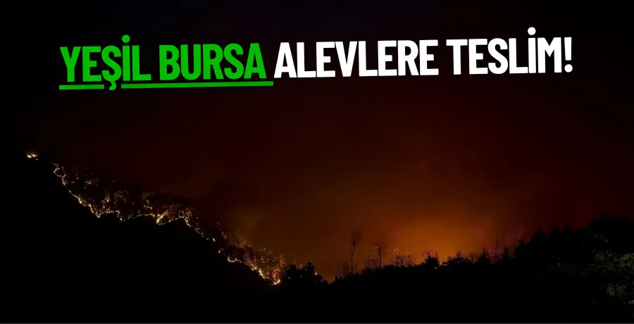Yeşil Bursa alevlere teslim!