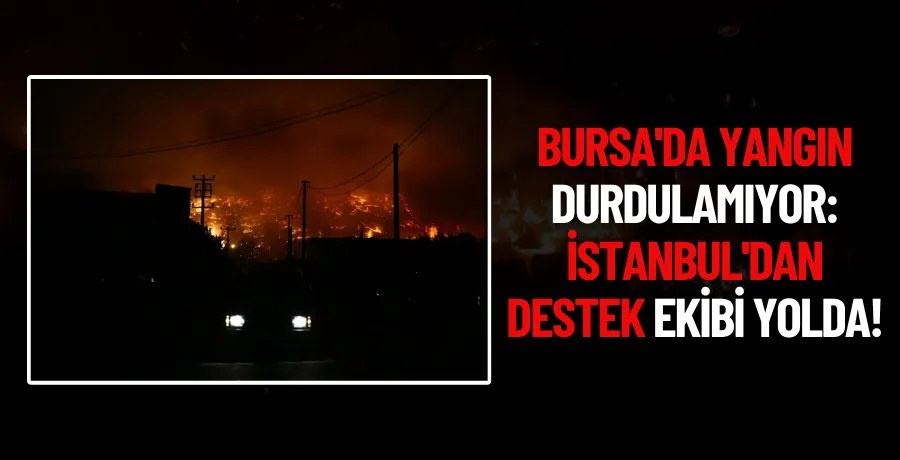 Bursa