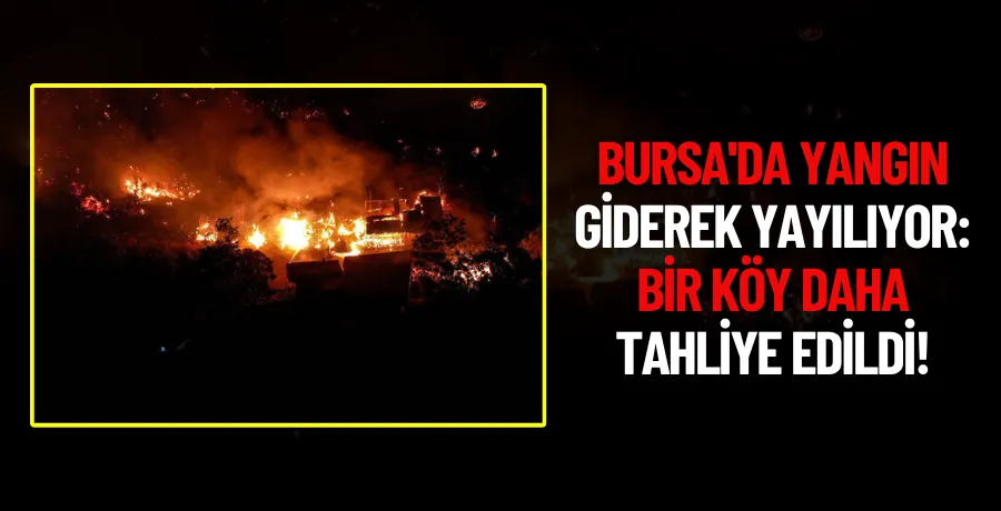 Bursa
