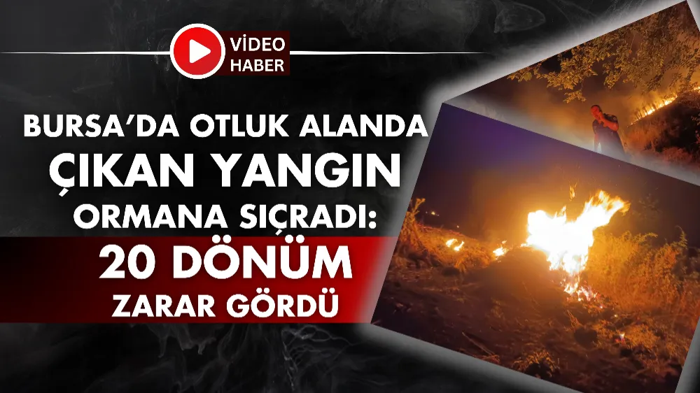 Bursa’da otluk alanda çıkan yangın ormana sıçradı: 20 dönüm zarar gördü