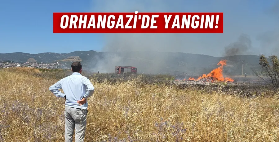 Bursa’da çalılık yangını 1 saatte söndürüldü