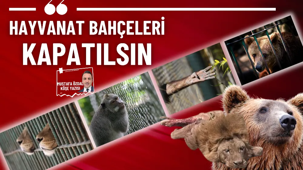 Hayvanat bahçeleri kapatılsın