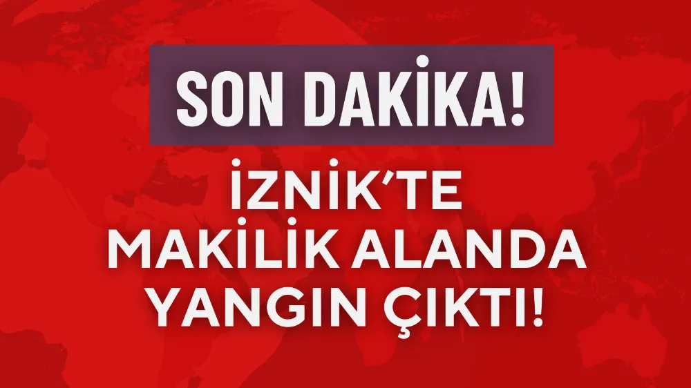 Bursa