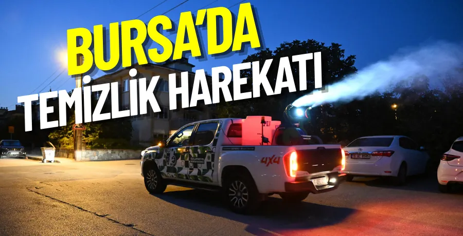 Bursa