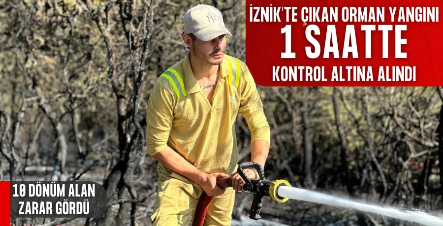 İznik’te çıkan orman yangını 1 saatte kontrol altına alındı