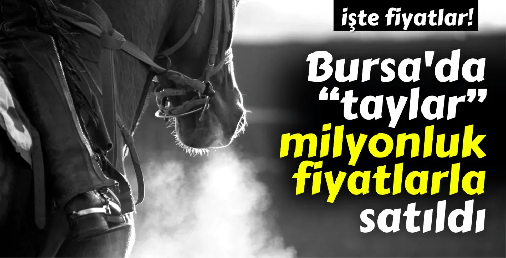 Bursa