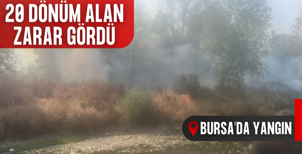Bursa’da ot yangınında 20 dönüm alan zarar gördü