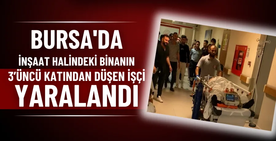 Bursa